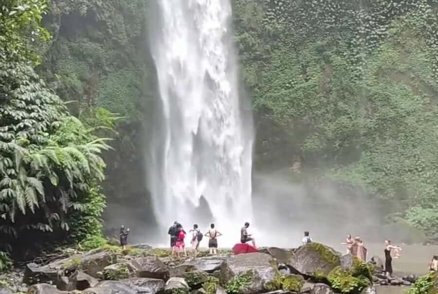 Bali: Ubud Full-Day Cultural and Nature Tour - What Makes This Tour a Great Value