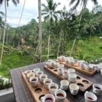Bali: Ubud Full-Day Tour with Entry Tickets & Guide - An In-Depth Look at the Ubud Full-Day Tour