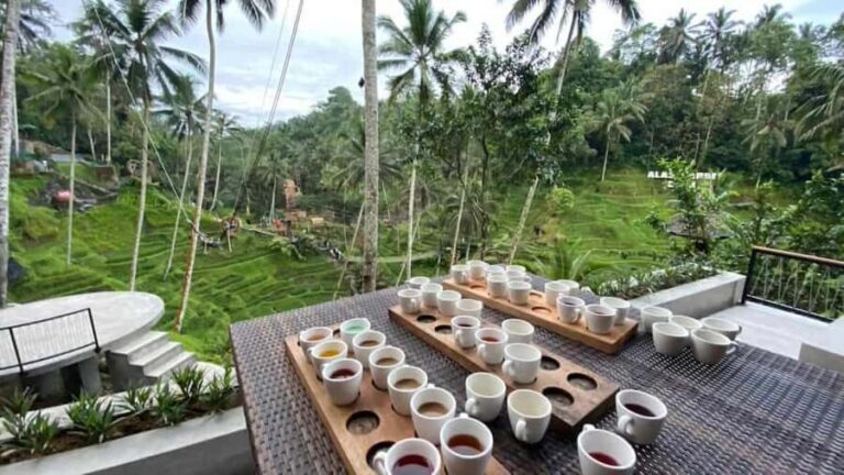 Bali: Ubud Full-Day Tour with Entry Tickets & Guide - An In-Depth Look at the Ubud Full-Day Tour