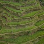 Bali Ubud : Full or Half Day Private Adventure Tour - Tirta Empul Temple