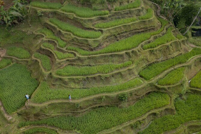 Bali Ubud : Full or Half Day Private Adventure Tour - Tirta Empul Temple