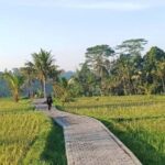 Bali: Ubud Highlight Tour With Flexible Itinerary Options - Discovering Ubud’s Natural & Cultural Gems