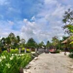 Bali: Ubud, Monkey Forest, Ancient Temple, Waterfalls - Practical Tips and What to Bring