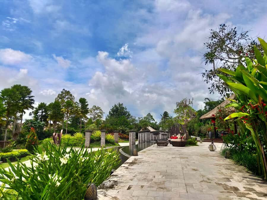 Bali: Ubud, Monkey Forest, Ancient Temple, Waterfalls - Practical Tips and What to Bring