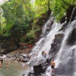 Bali: Ubud Rice terrace, water temple, and waterfall Tour - Practical Details: What’s Included and What to Expect