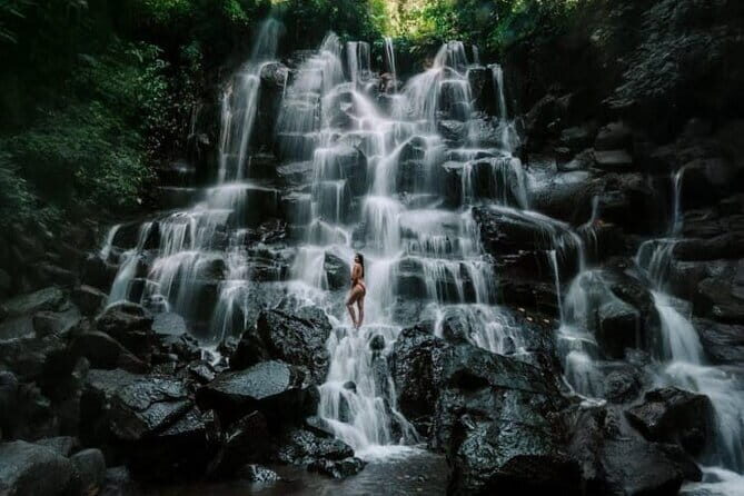 Bali Ubud Tour Monkey Forest, Waterfall, Temple & Rice Terrace - Who Would Love This Tour?