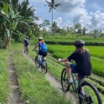 Bali: Ubud Village Cycling Tour with Lunch and Swim - An In-Depth Look at the Ubud Village Cycling Tour
