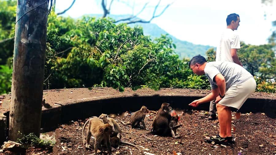 Bali: Ulun Danu Temple, Waterfall, and Twin Lakes Tour - The Practicalities: Transportation, Timing, and Group Size