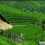 Bali: Unesco Tour with Batur Karu Temple & Jatiluwih - Detailed Breakdown of the Itinerary