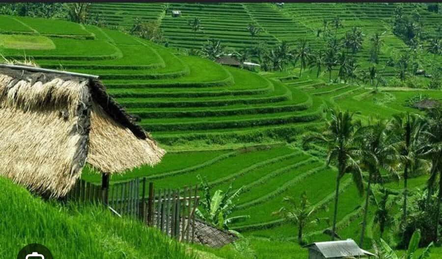 Bali: Unesco Tour with Batur Karu Temple & Jatiluwih - Detailed Breakdown of the Itinerary