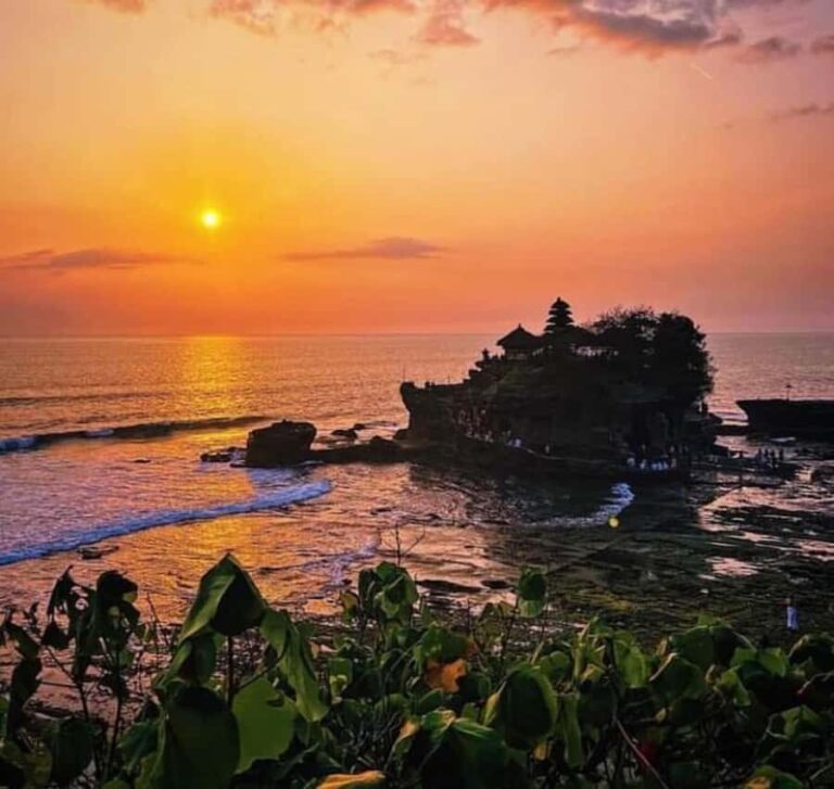 Bali UNESCO Trip : Ulundanu, Taman ayun & Tanah lot Temple - Visiting Alas Kedaton – The Monkey Sanctuary