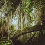 Bali UTV Jungle Adventure with Sacred Monkey Forest and Swing - The Sum Up: Is This Tour Right for You?