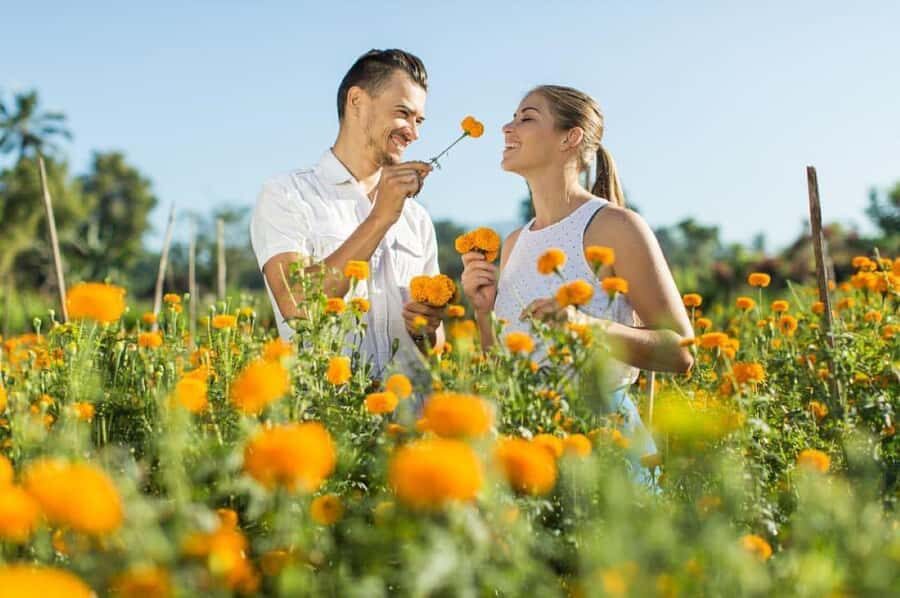 Bali: Village Cultural Tour with Cooking Class - Engaging with Traditional Balinese Agriculture