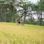 Bali: Village Cycling, Farm Tour & River Tubing in Ubud area - Exploring the Full Day Experience
