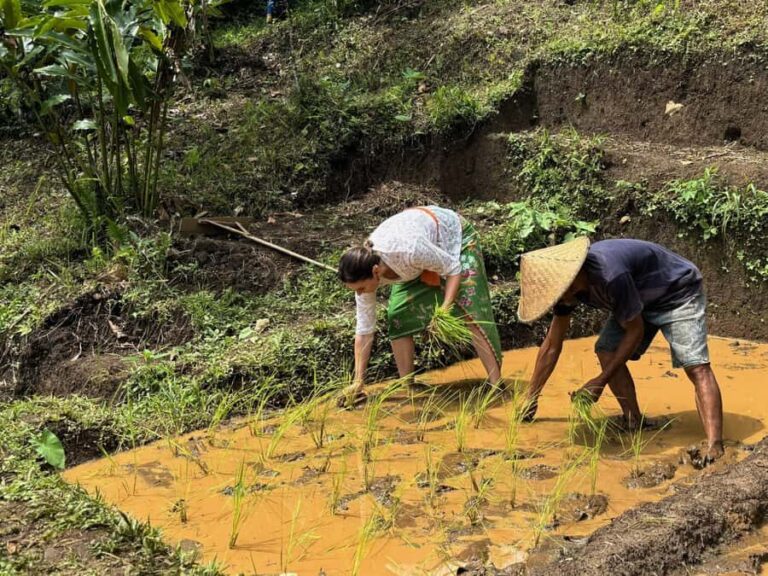 Bali Village Sunset Experience Jamu, Local Sweets & Dinner - Practical Details and What to Expect