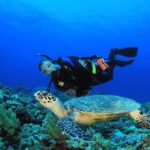Bali Vip: Sea Walker Under Water Experience - What to Expect During the Tour