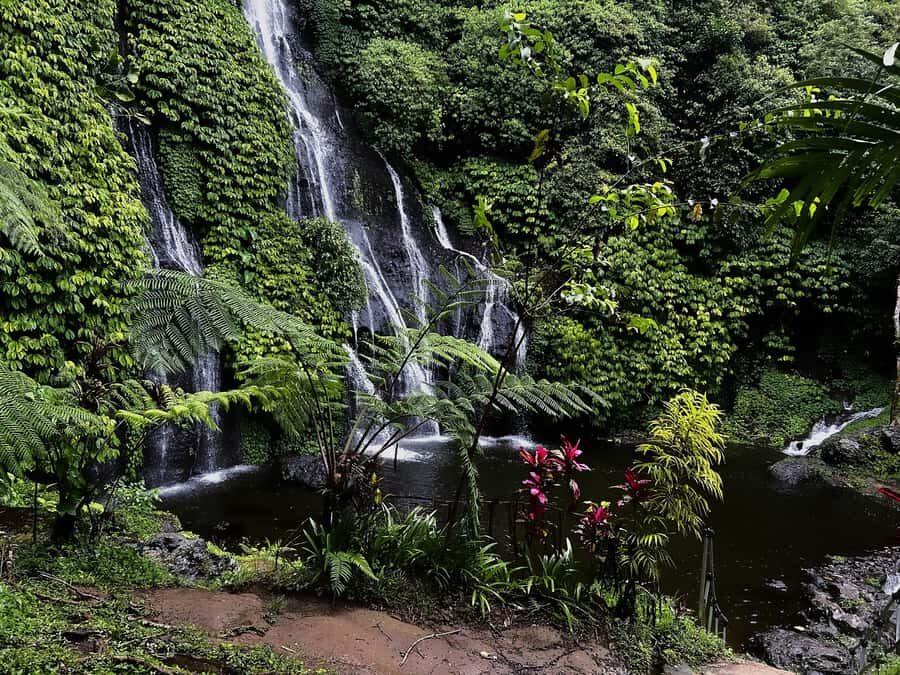Bali: Wanagiri, Banyumala Twin Waterfall, Ulun Danu Bratan - Why This Tour Offers Good Value