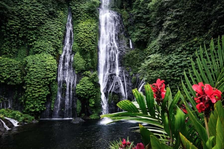 Bali: Wanagiri Hidden Hills, Waterfall, and Temples Tour - What to Expect from the Experience
