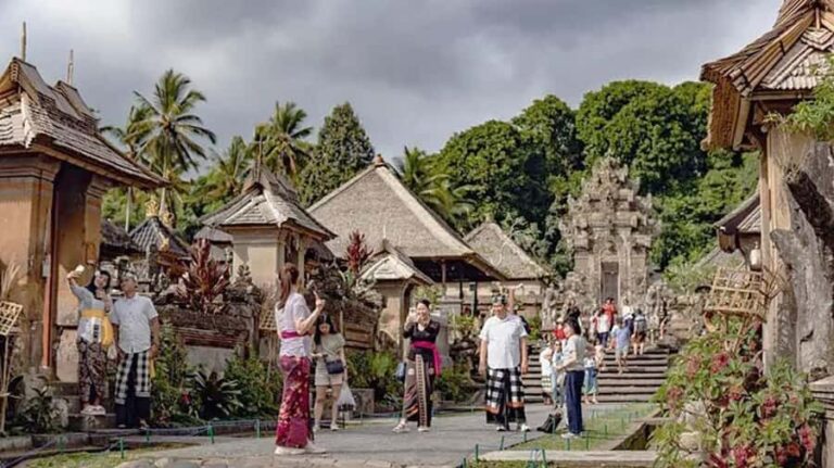 Bali: Waterfall, Tirta Empul & Traditional Village Day Trip - Who Should Consider This Tour?