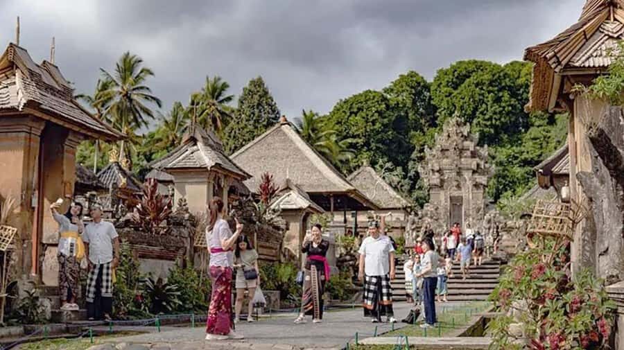Bali: Waterfall, Tirta Empul & Traditional Village Day Trip - Who Should Consider This Tour?