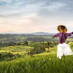 Bali Waterfall Wonders | A Nature Escape | All Inclusive - Who Should Consider This Tour?