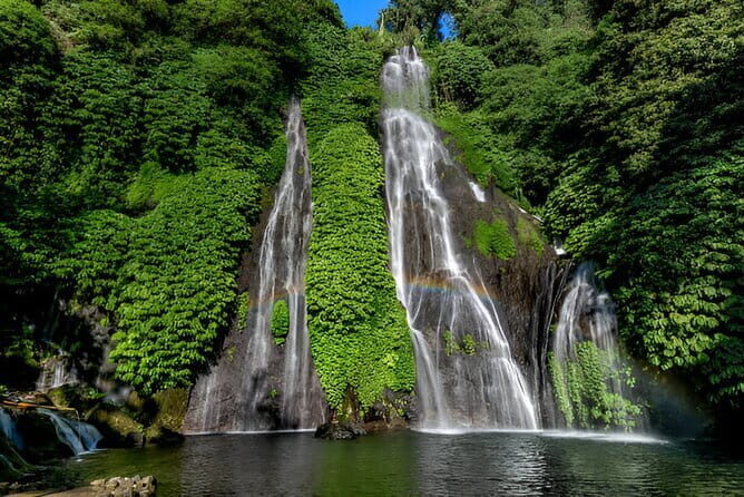 Bali Waterfall Wonders | A Nature Escape | All Inclusive - A Delicious Break at Nadi Farm Cafe