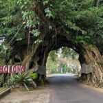 Bali: West Bali Private Tour with Lunch and Transfers - Exploring West Bali: What You Can Expect