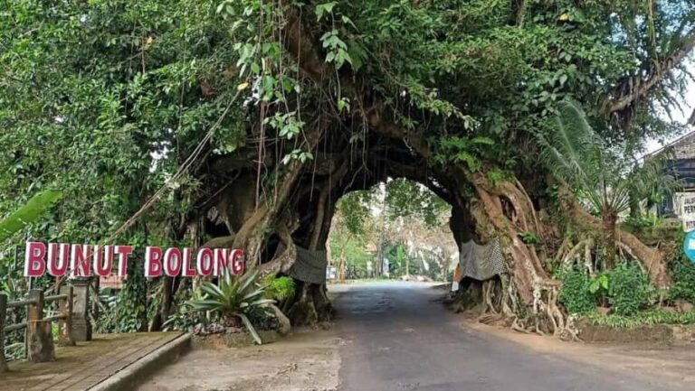 Bali: West Bali Private Tour with Lunch and Transfers - Exploring West Bali: What You Can Expect