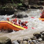 Bali: White Water Rafting, Lunch and Private Pickup - Overview of the Bali White Water Rafting Tour