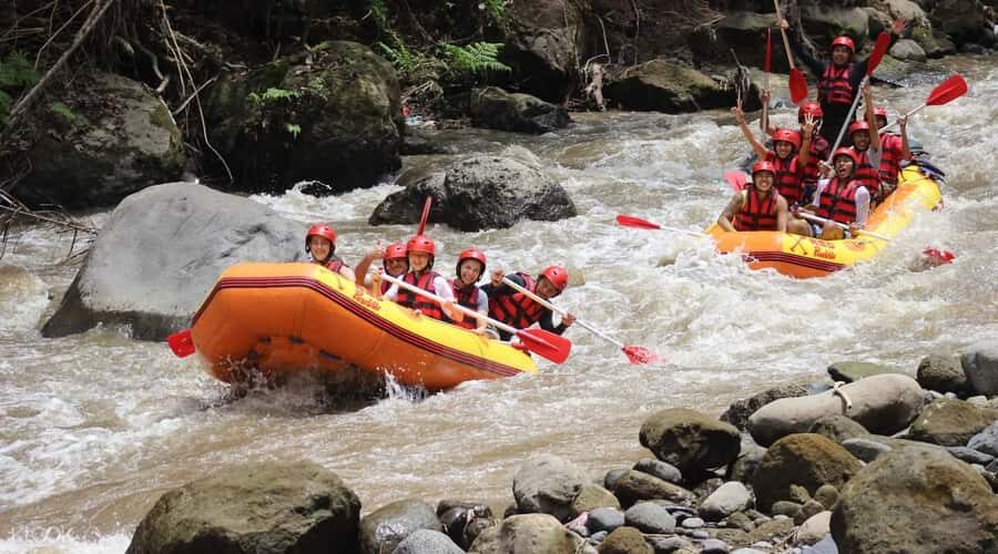 Bali: White Water Rafting, Lunch and Private Pickup - Overview of the Bali White Water Rafting Tour