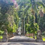 Bali White Water Rafting with Sacred Monkey Forest and Swing - Highlights of the Tour