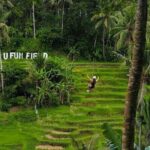 Bali: Zipline + Watersport Trio (Jetski, Parasailing, BananaBoat) - Authentic Experiences from Reviewers