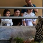 Bali Zoo: Behind Closed Doors Afternoon Safari Guided Tour - Who Will Love This Tour?