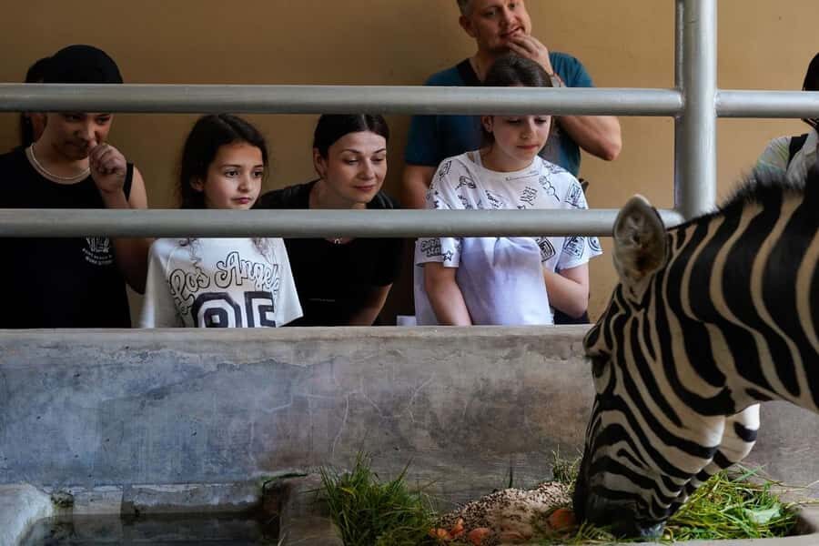 Bali Zoo: Behind Closed Doors Afternoon Safari Guided Tour - Who Will Love This Tour?