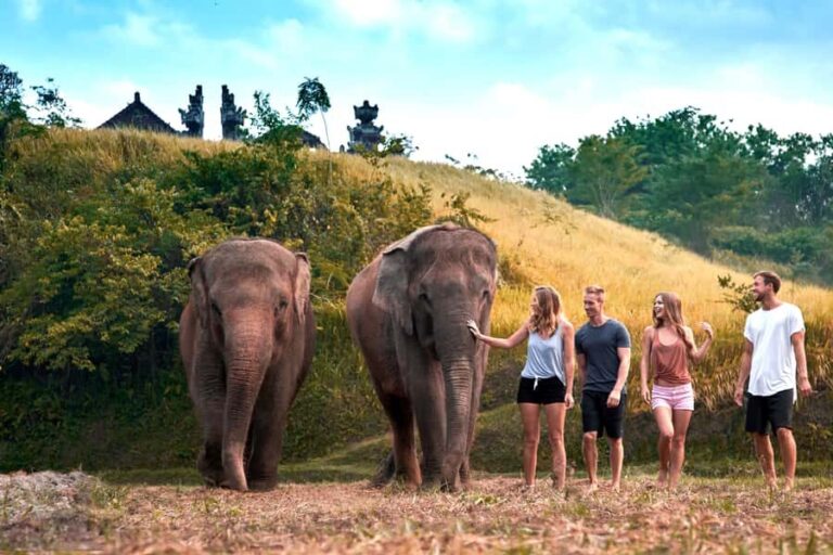 Bali Zoo: Guided Ethical Elephant Care Experience - The Itinerary: What You Can Expect