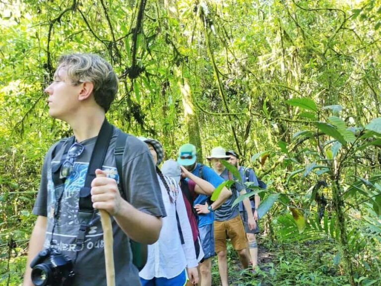 Bali:Explore 5 Waterfalls Trekking Tour in Munduk Bali - The Sum Up