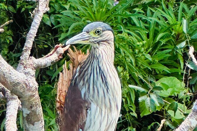 Balinsasayao Twin Lakes Half Day Tour | Tours in English - Who Is This Tour Best For?