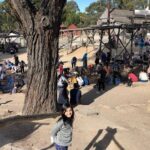 Ballarat Gold Fields - Sovereign Hill & Winery Tour - Strolling in Nature: The Ballarat Botanical Gardens