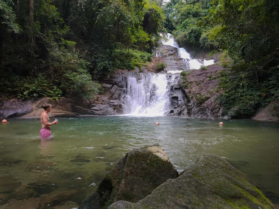Bamboo Rafting, Waterfall, lunch, Elephant, and Turtle Tour - Full Review: What to Expect on This Khao Lak Adventure