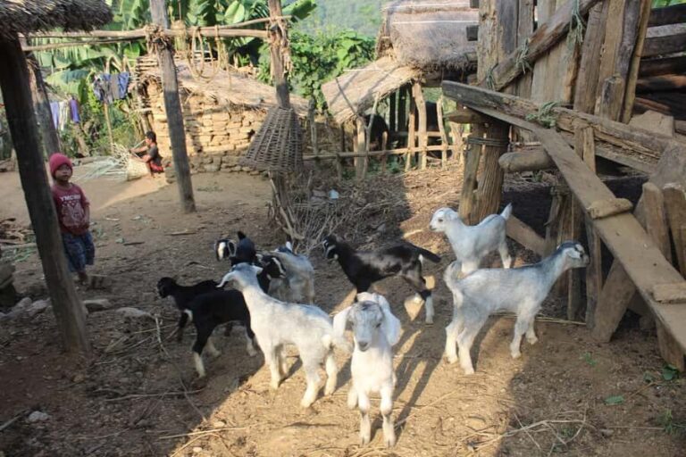 Bandipur: First hand rural cultural experience at homestay - Practical Details and Logistics