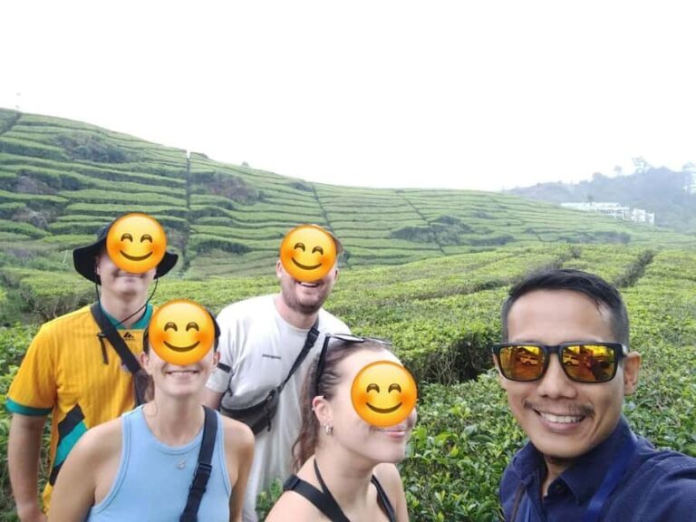 Bandung: White Crater Volcano Guided Day Trip - Pricing and Value