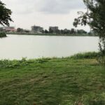 Bangalore: Agara Lake Walking Tour with Coffee - An Overview of the Experience