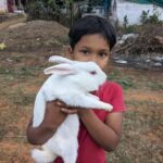 Bangalore: Big Barn Farm Visit with Animal Interactions - What to Expect: A Breakdown of the Experience