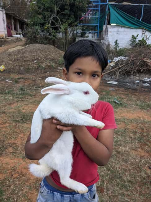 Bangalore: Big Barn Farm Visit with Animal Interactions - What to Expect: A Breakdown of the Experience