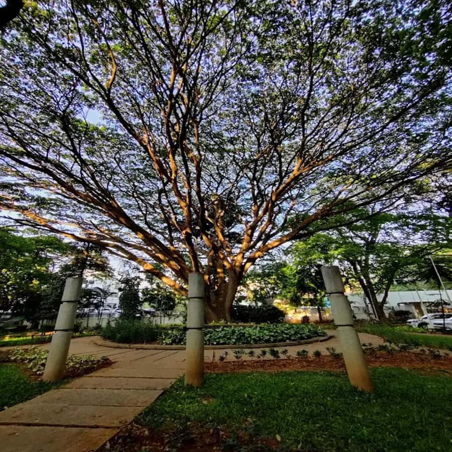 Bangalore: National Gallery of Modern Art with Pickup - What You Can Expect from the Tour