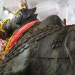 Bangalore: Private Half-Day Sightseeing Tour - What to Expect from the Tour