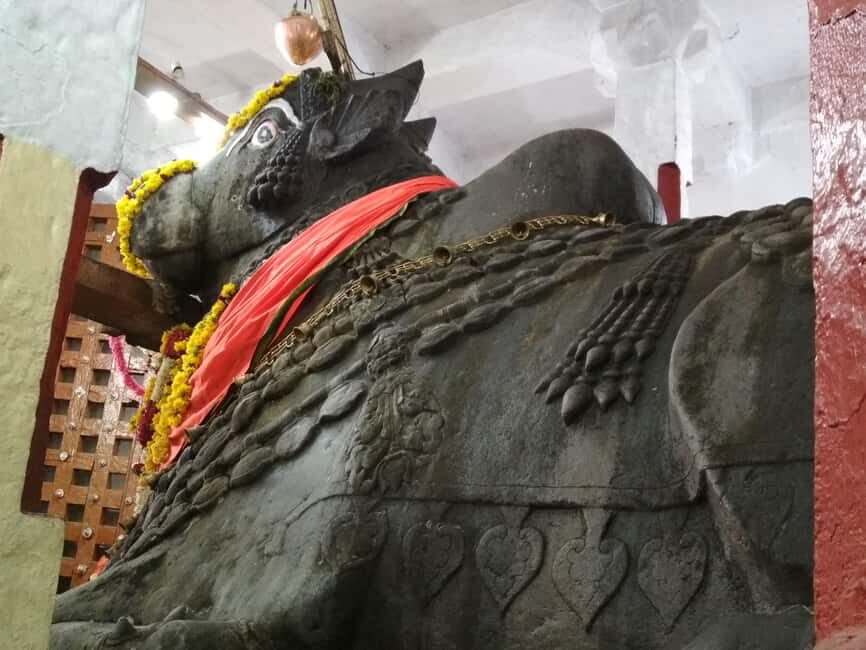 Bangalore: Private Half-Day Sightseeing Tour - What to Expect from the Tour