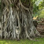 Bangkok: Ayutthaya Temples, Floating Market & Museum Tour - The Practicalities and Value