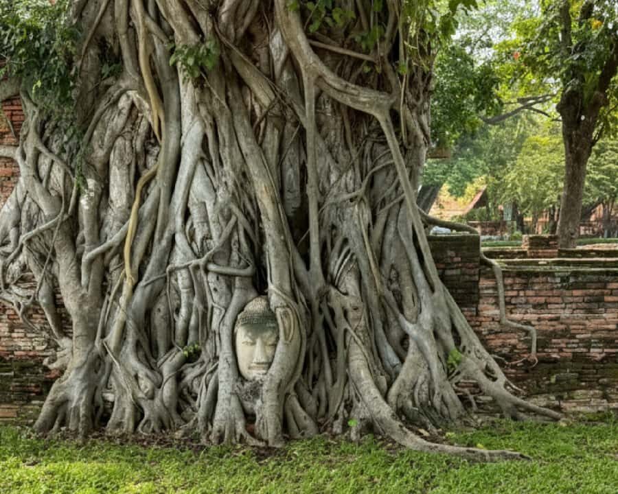 Bangkok: Ayutthaya Temples, Floating Market & Museum Tour - The Practicalities and Value