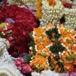 Bangkok Lotus Fields, Orchid Farm, and Flower Market Tour - Exploring the Itinerary in Detail